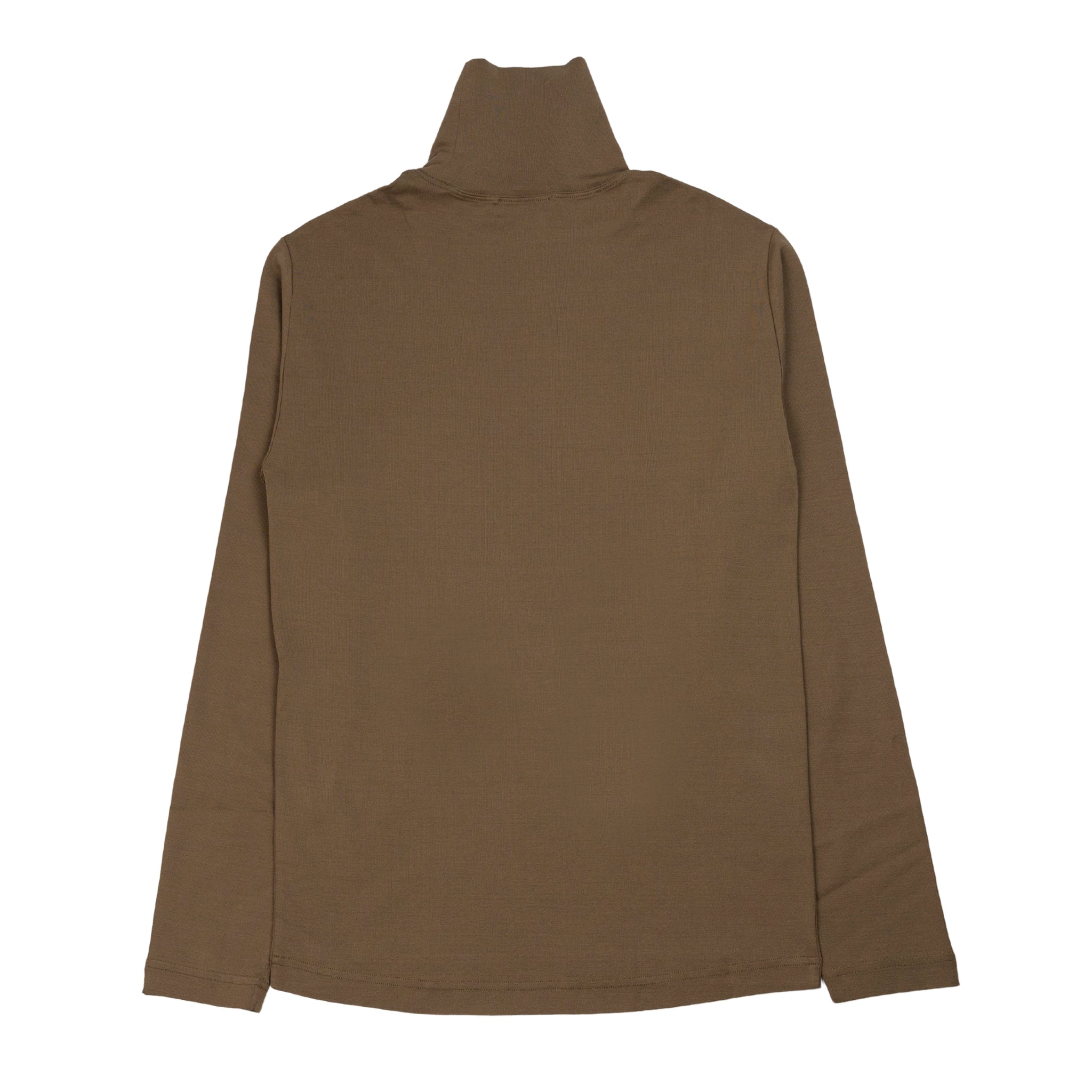 Long Sleeve Turtle Neck in Green Beige